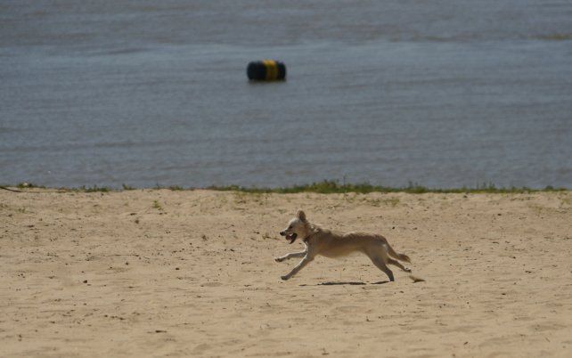 El tiempo en Rosario: miércoles algo nublado con una máxima de 30º