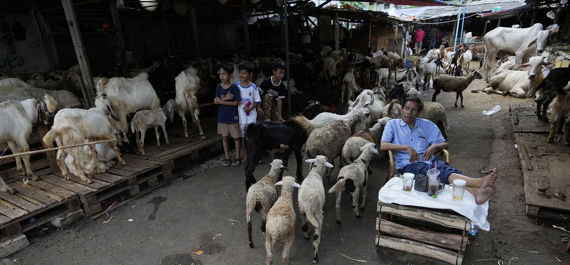 Un vendedor espera a los clientes en un mercado de animales establecido para el próximo festival Eid al-Adha en Yakarta, Indonesia, el lunes 4 de julio de 2022. Eid al-Adha, o Fiesta del Sacrificio, es una festividad islámica que conmemora la voluntad del Profeta Ibrahim, Abraham para cristianos y judíos, para sacrificar a su hijo.