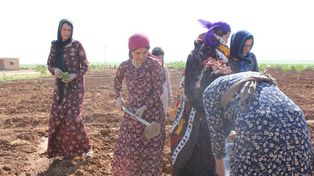 Surge en Siria un pueblo hecho por y para mujeres