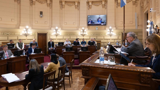 Senado de Santa Fe dio la media sanción a la nueva ley contra la violencia de género
