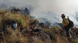 Vieron un puma, quisieron espantarlo con fuego y desataron un voraz incendio