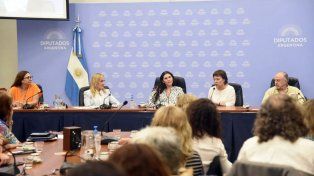 La Comisión de Educación de la Cámara de Diputados de la Nación, que preside Blanca Osuna, recibirá este martes a las 14 a las comunidades educativas de ocho universidades que proyectan crearse. Entre ellas se encuentra la Juan Laurentino Ortiz, que sería producto de la nacionalización de la Facultad de Humanidades, Artes y Ciencias Sociales de Uader.
