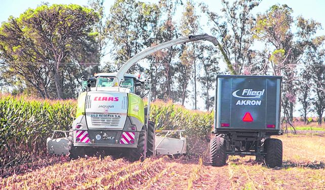 A toda máquina. Las altas reservas hídricas anticipan un buen ciclo.