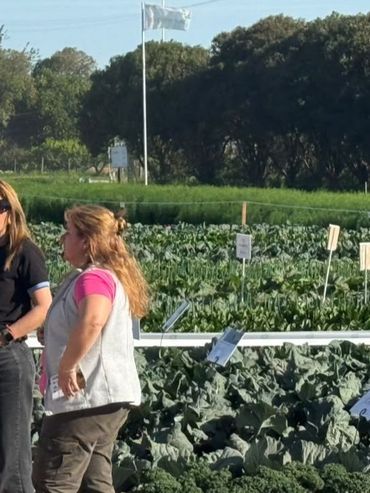 Exphortar puso el foco en los desafíos de la producción y comercialización de hortalizas
