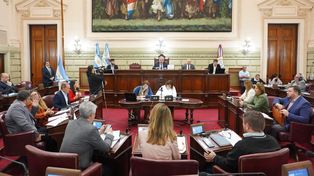 La Cámara baja santafesina analizará las iniciativas reformistas.