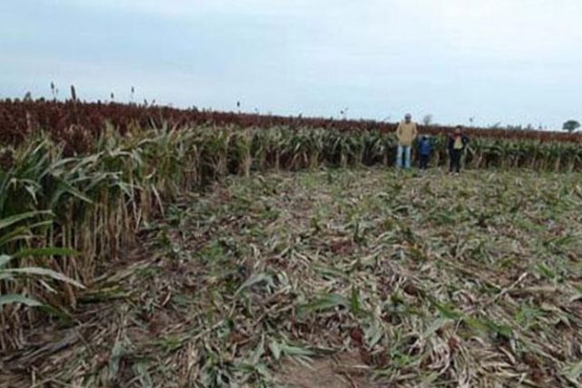 Una huella mística sorprendió a un chacarero cordobés en Las Perdices