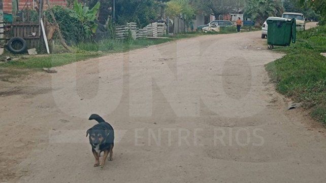 Calle Tibiletti: vecinos aislados y cansados de reclamar por el estado de la arteria