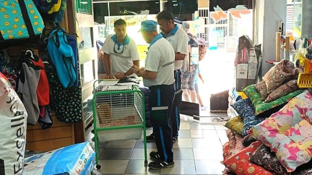 Personal de Control municipal realizó el procedimiento en un comercio ubicado en Mitre al 300