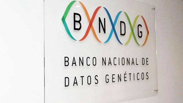 Abuelas de Plaza de Mayo pide a la Justicia proteger el Banco Nacional de Datos Genéticos. Denuncian recortes y acefalía que afectan su buen funcionamiento