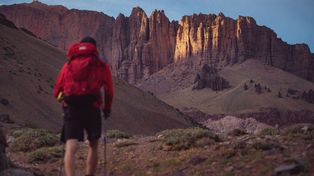 Fuerte crecimiento del turismo internacional en octubre