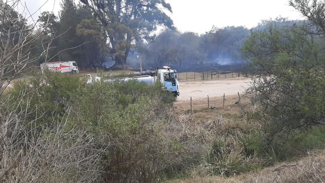 El fuego y el humo asolan el sur de Entre Ríos con incendios en la zona del Delta. Bomberos de Ceibas