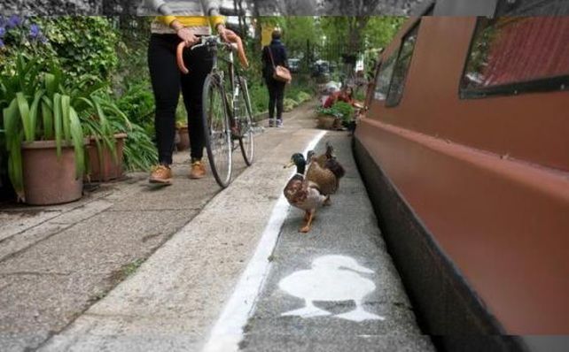 La llamativa senda peatonal sorprendió a los británicos.