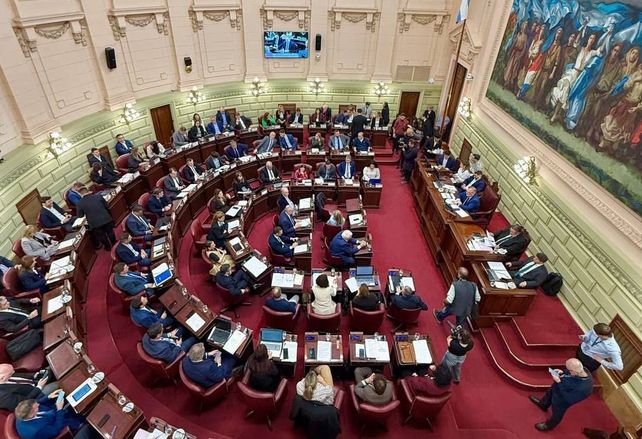 La Convención empezó a definir la nueva Constitución de Santa Fe.