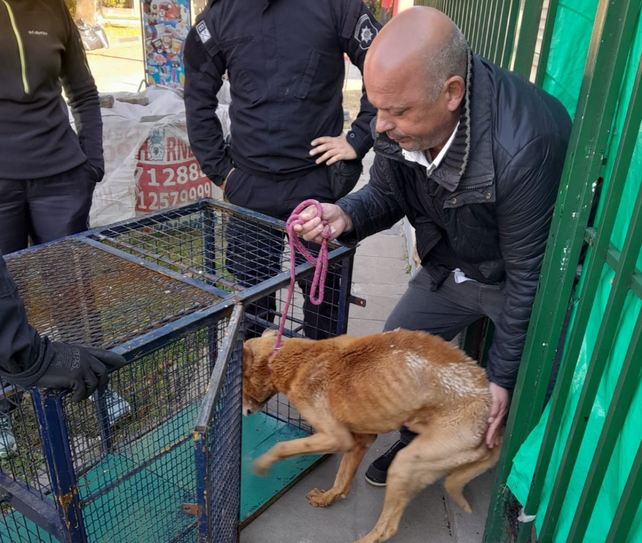 El perrito fue rescatado por personal del municipio. Estaba en una casa cuyos habitantes fueron denunciados por los vecinos. &nbsp;