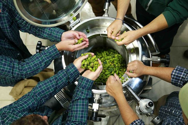 Fernández IPA, la cerveza wet hop IPA que se hace en otoño