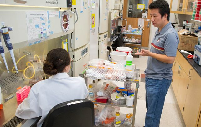 Laboratorio. El profesor Hengli Tang