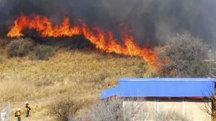 Fuego. Bomberos Zapadores y brigadistas forestales debieron actuar continuamente durante el último verano.