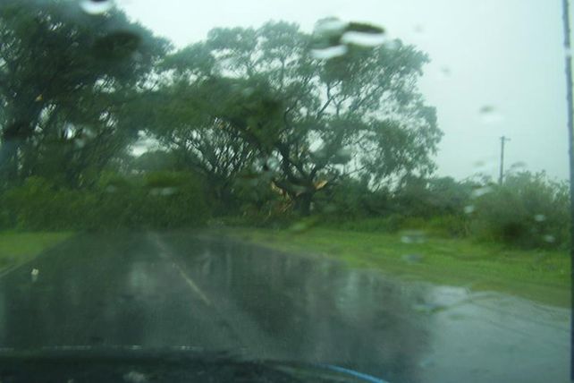 Humboldt: una cola de tornado cortó cables, voló techos y derribó árboles