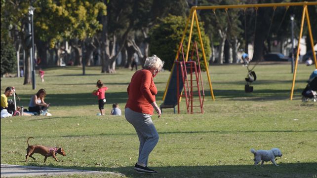 El tiempo en Rosario se presenta agradable&nbsp;