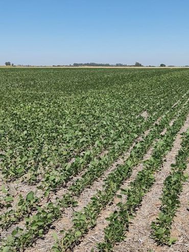 La Afip visitará Santa Fe para brindar asistencia a productores damnificados por la sequía