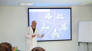 Ciencia y producción. Javier Palatnik encabeza el equipo de investigación del IBR, Conicet, UNR, que investiga los micro ARN.