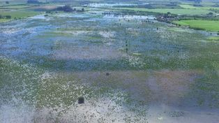San Javier: cayeron 800 mm en 40 días