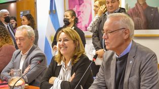 La socialista presidirá la comisión de Salud de la Cámara baja nacional.