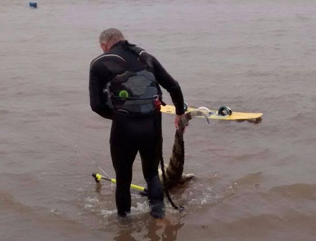 Córdoba halló el yacaré flotando boca arriba en el río y lo arrastró hasta la costa.