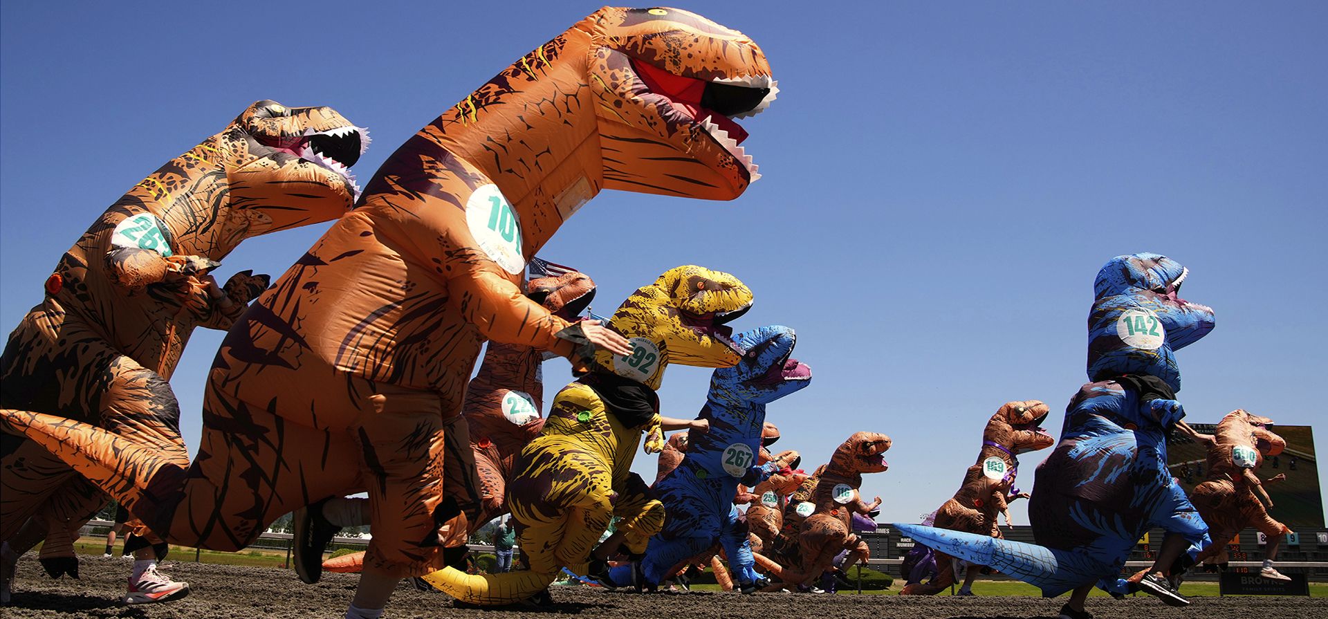 Los corredores de T-Rex participan en una ronda preliminar durante el Campeonato Mundial de Carreras de T-Rex en Emerald Downs, el domingo 29 de junio de 2025, en Auburn, Washington. (Foto AP/Lindsey Wasson) Los corredores de T-Rex participan en una ronda preliminar durante el Campeonato Mundial de Carreras de T-Rex en Emerald Downs, el domingo 29 de junio de 2025, en Auburn, Washington. (Foto AP/Lindsey Wasson)