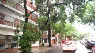 En Cerrito al 1200 está la casa de Francisca S, que fue vendida dos veces a sus espaldas. El viernes imputan a los implicados en el fraude.&nbsp;
