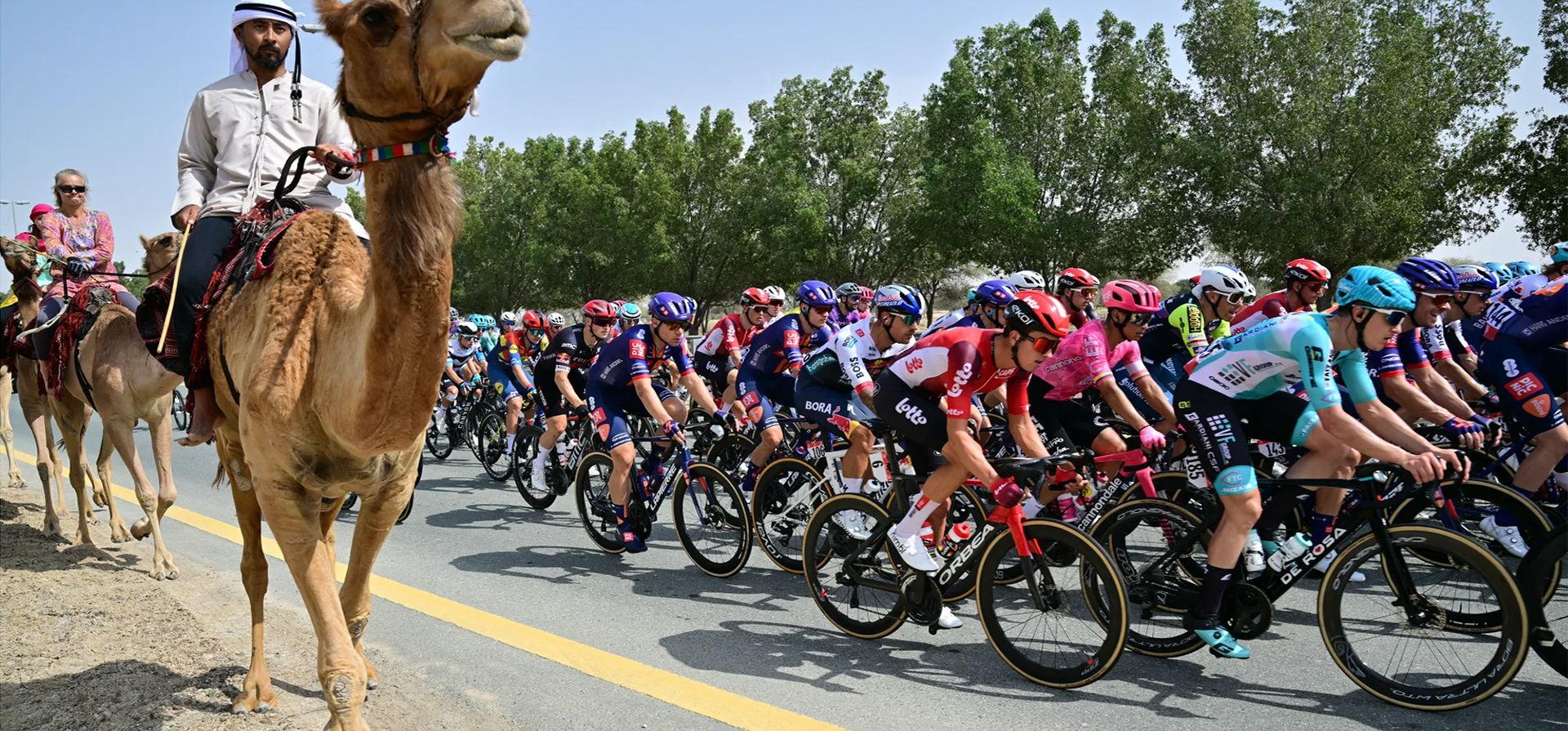 Los turistas siguen a un guía en camellos mientras los participantes en la quinta etapa de la carrera ciclista del Tour de los Emiratos Árabes Unidos entre la Universidad Americana y la Universidad Hamdan bin Mohammed Smart pasan por una ruta, Dubái, Emiratos Árabes Unidos. Fotografía: Giuseppe Cacace/AFP/Getty Images Los turistas siguen a un guía en camellos mientras los participantes en la quinta etapa de la carrera ciclista del Tour de los Emiratos Árabes Unidos entre la Universidad Americana y la Universidad Hamdan bin Mohammed Smart pasan por una ruta, Dubái, Emiratos Árabes Unidos. Fotografía: Giuseppe Cacace/AFP/Getty Images