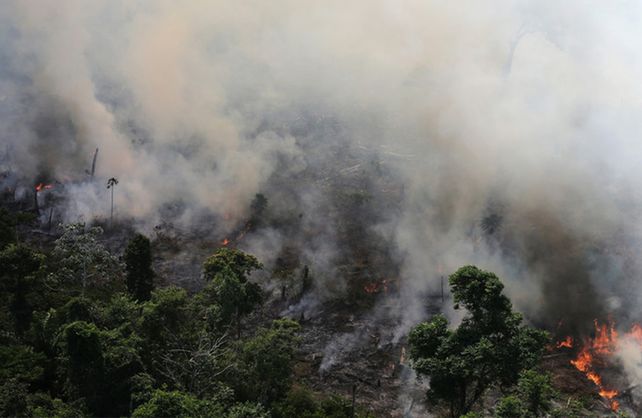 Incendios forestales