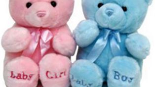 El sexo del beb&eacute; ahora se podr&aacute; saber en casa y a las diez semanas de embarazo