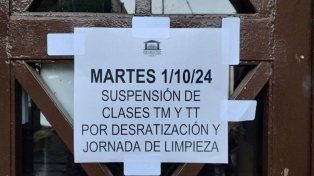 Suspendieron las clases en una escuela de Rosario porque un alumno fue mordido por una rata en el baño