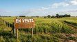 El Gobierno presentó un nuevo dictamen sobre la ley de tierras para evitar una derrota en el Senado