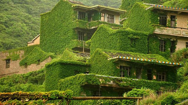 Houtouwan, el pueblo que ha sido tomado por la naturaleza