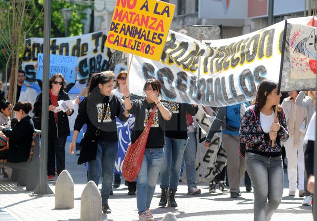 Trivial. Las organizaciones proteccionistas aseguran que no hay mucho que celebrar. UNO de Santa Fe/José Busiemi