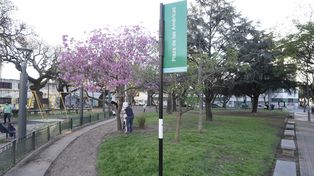 La plaza de las Américas, en Iriondo y Salta, uno de los espacios verdes que se va a intervenir en el marco del Plan de Plazas.