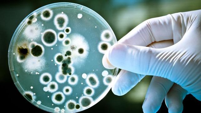 Combate. Las infecciones intrahospitalarias desvelan a autoridades sanitarias de todo el mundo pero en los últimos años los avances fueron innegables.