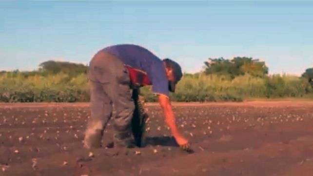 Quinteros santafesinos: mucho más que producir alimentos