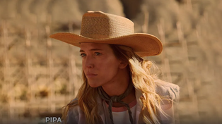 Pipa está basada en la novela Cornelia de Florencia Etcheves, que es la tercera entrega de la saga Los crímenes del Sur