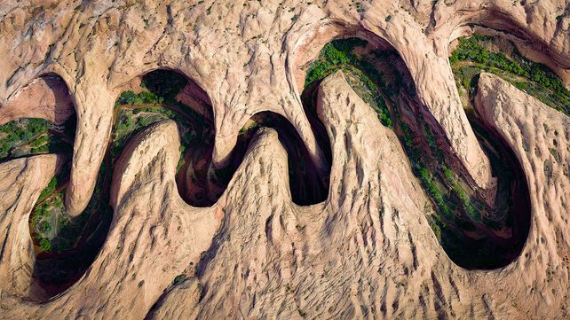 Las mejores fotos de la naturaleza de 2017 premiadas por National Geographic