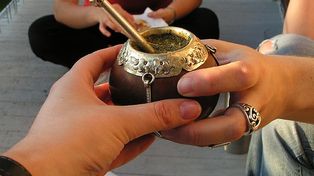 Tomar mate a diario genera beneficios y produce pérdida de peso
