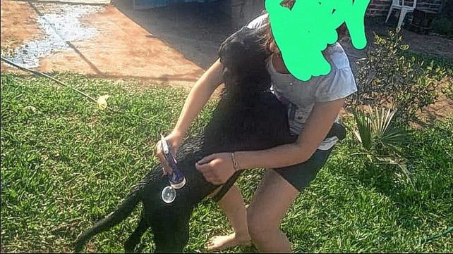 Afirmaron que el policía fue a la casa del perro Lihuel y lo mató a tiros