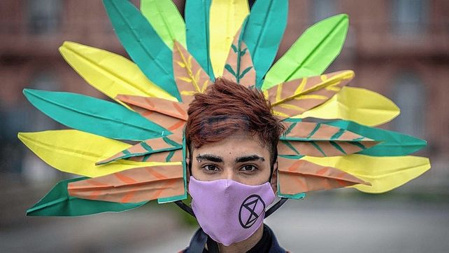 Conservar el ambiente tiene una estrecha relación con los derechos humanos
