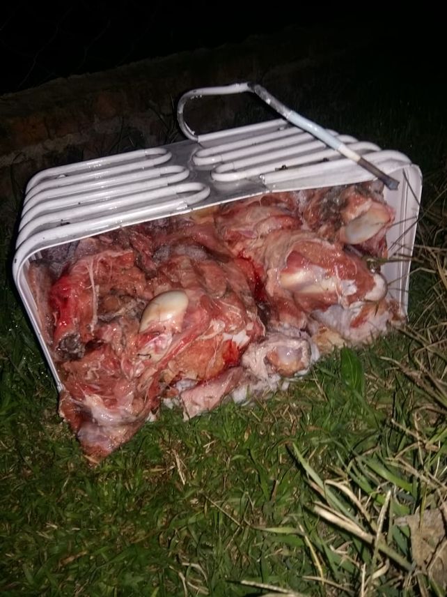 Robaron un novillo, lo mataron, lo faenaron y los dos terminaron presos