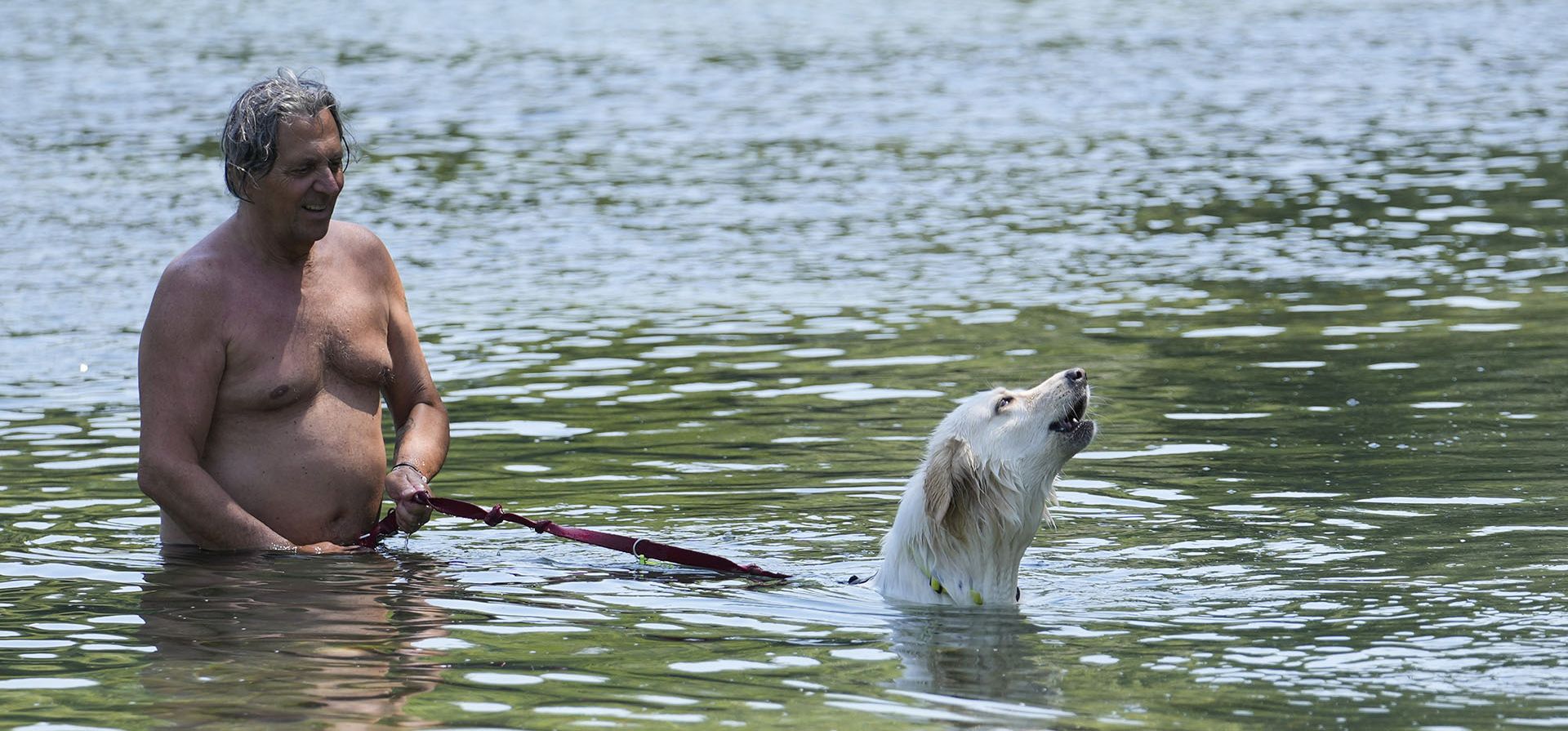 Un hombre y su perro se refrescan en el río Adda, en Cornate D