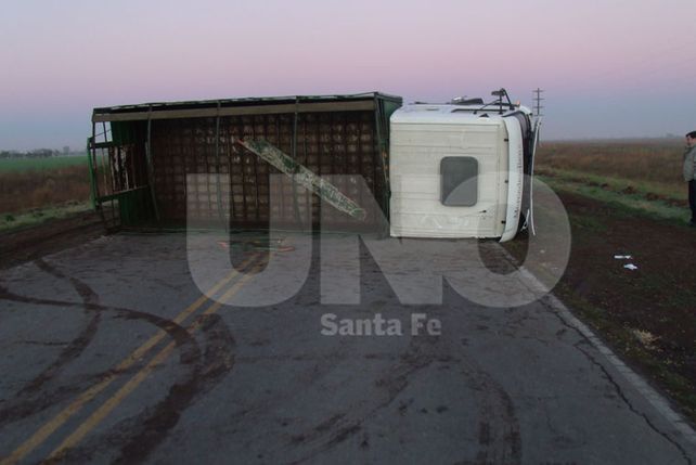 Volcó un camión con vacunos en el acceso norte a Gálvez
