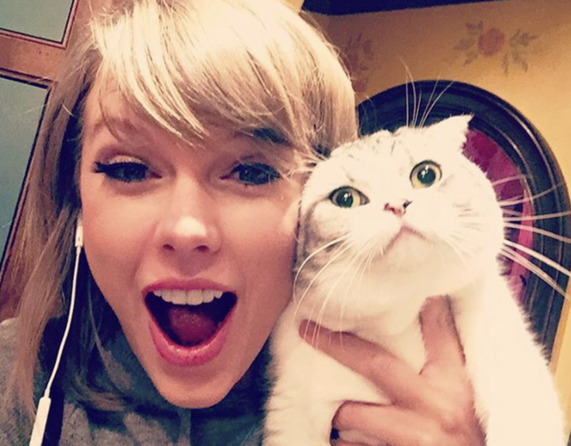 Taylor Swift junto a su mascota &nbsp;
