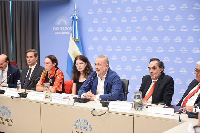 Constitucionalistas expusieron sus razones para rechazar el megadecreto de Milei.